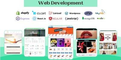 CMS Web Developer