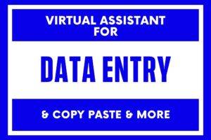 I am a data entry expert.