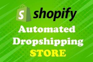 Dropshipping shopify store or shopify website