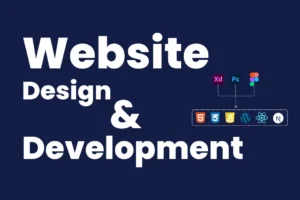 Website Development experts